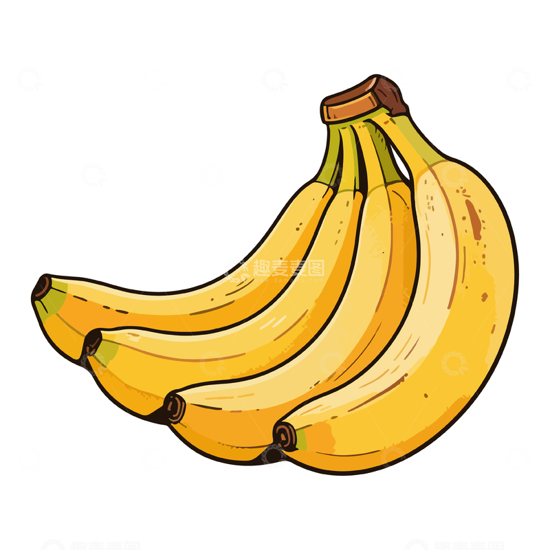 手绘香蕉矢量素材插画