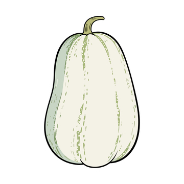 简约南瓜手绘插画