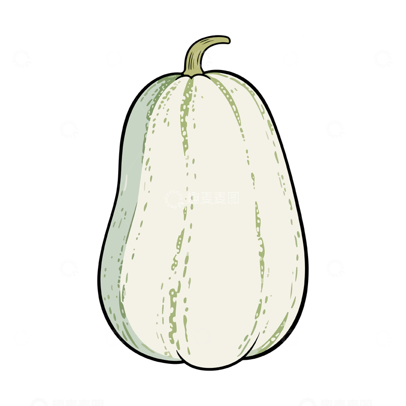 简约南瓜手绘插画