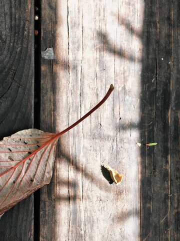 2025年初秋-青岛