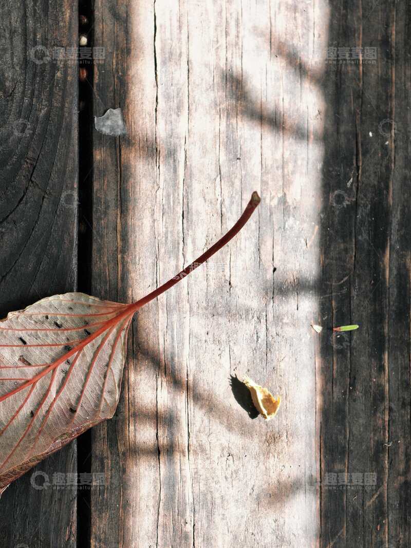 2025年初秋-青岛