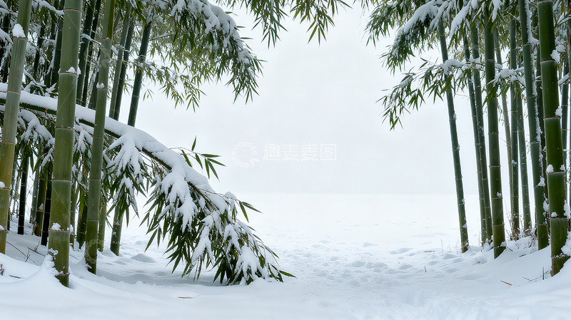 高清大图下载【趣麦麦图】冬季竹林大雪实拍