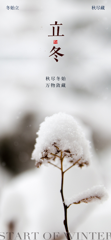 立冬节气海报3