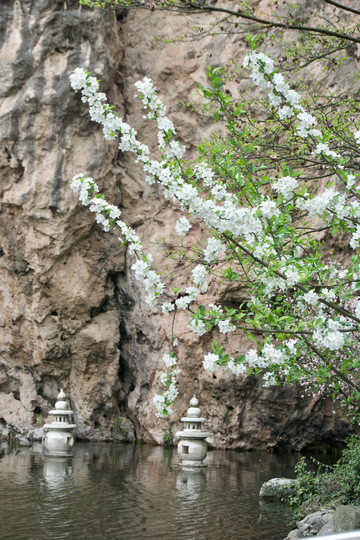 山水花树岩石景观
