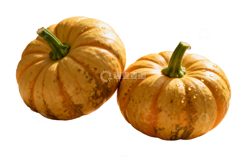 源文件下载【趣麦麦图】贝贝南瓜素材2