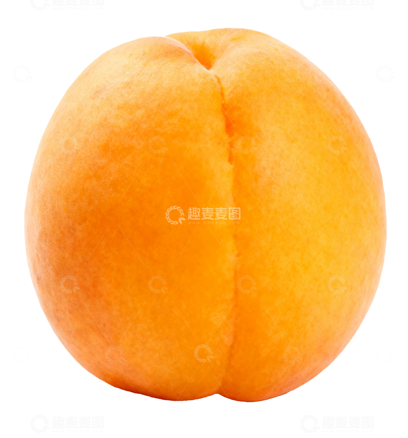 源文件下载【趣麦麦图】大黄杏摄影4