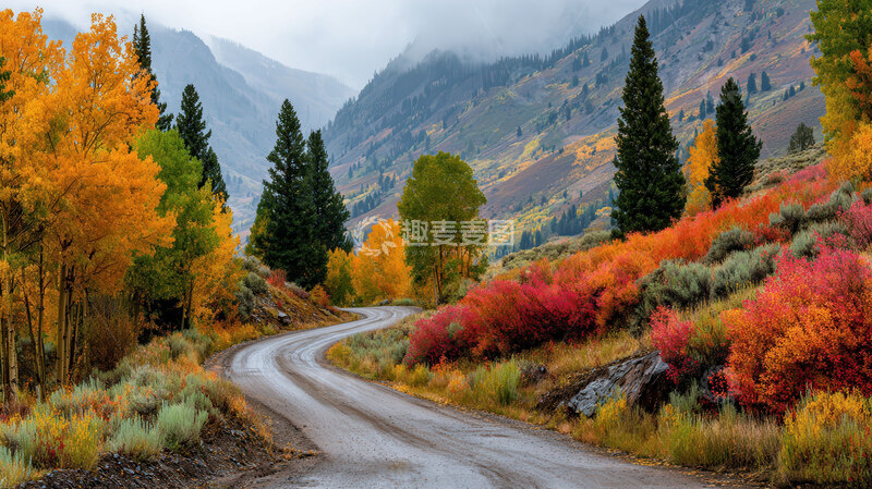 高清大图下载【趣麦麦图】山林  幽寂  气爽 