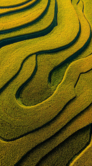田园风光梯田景观
