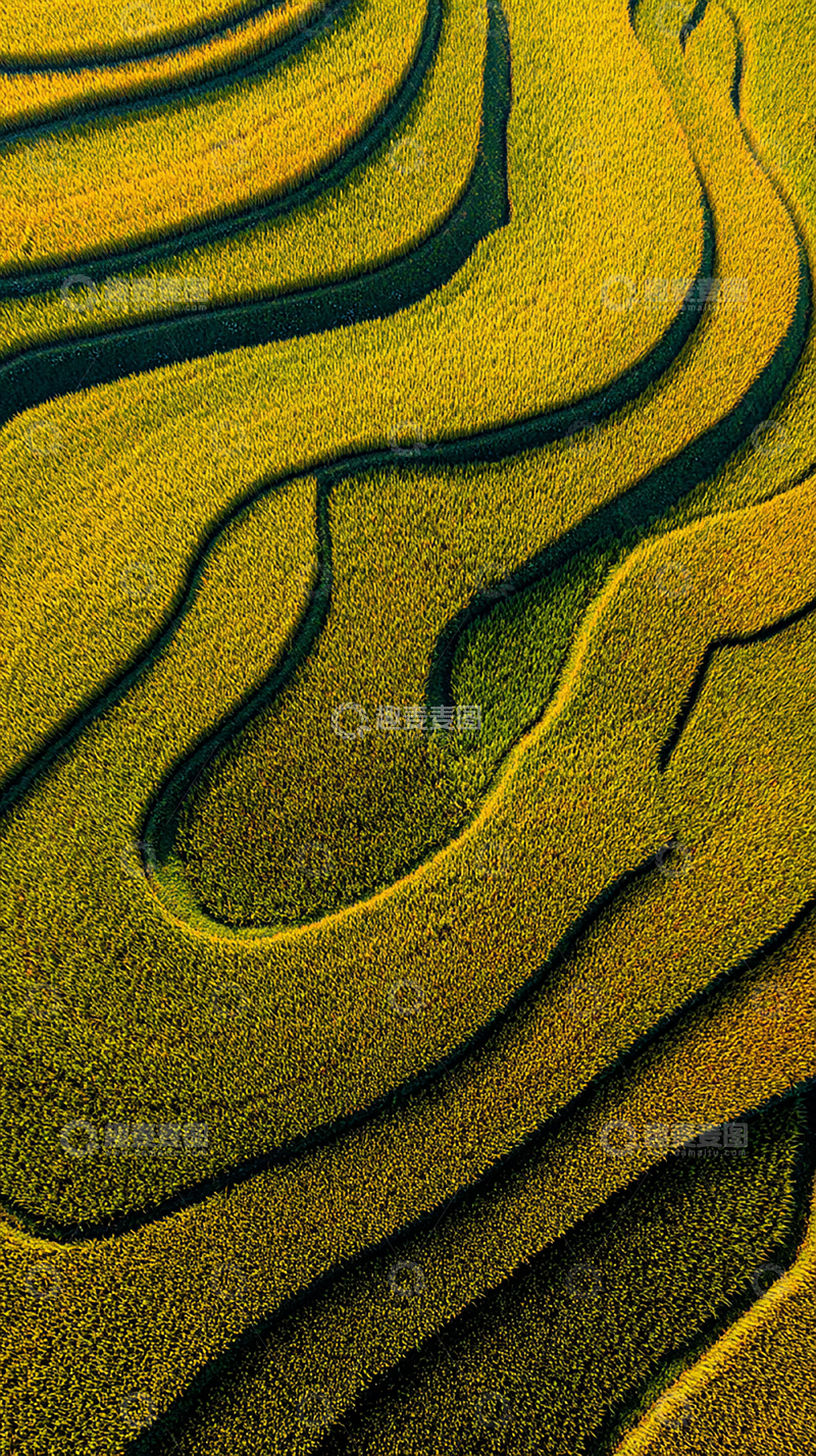 高清大图下载【趣麦麦图】田园风光梯田景观