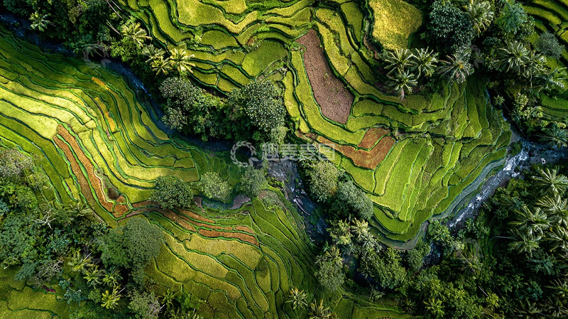 高清大图下载【趣麦麦图】绿色生态田园