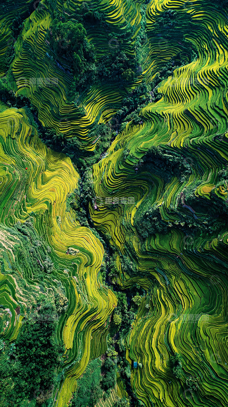 高清大图下载【趣麦麦图】绿色阶梯田景观
