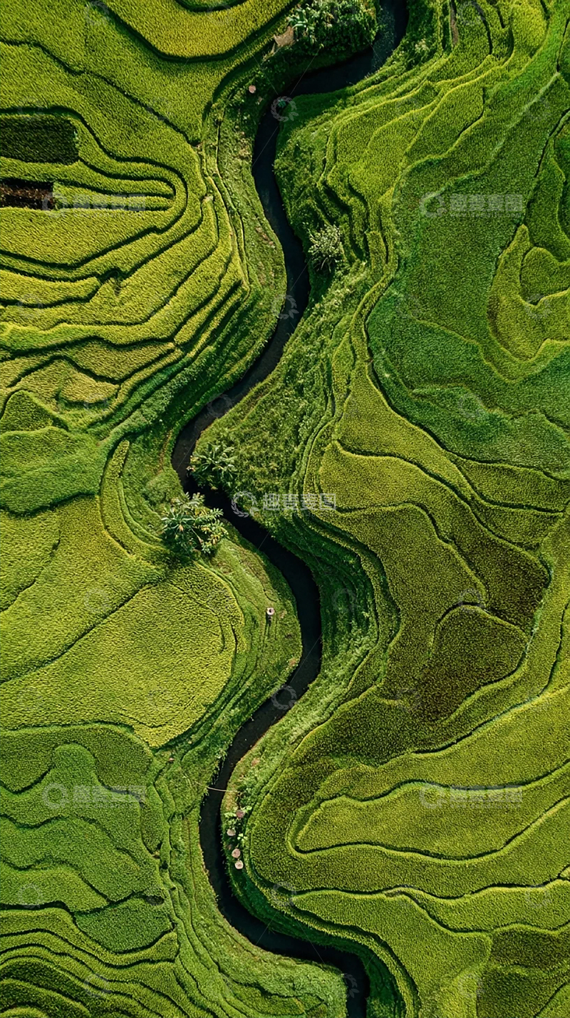 高清大图下载【趣麦麦图】绿色梯田美景