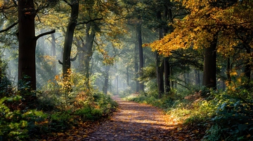 山涧  幽邃  红蓼  