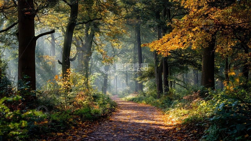 高清大图下载【趣麦麦图】山涧  幽邃  红蓼  