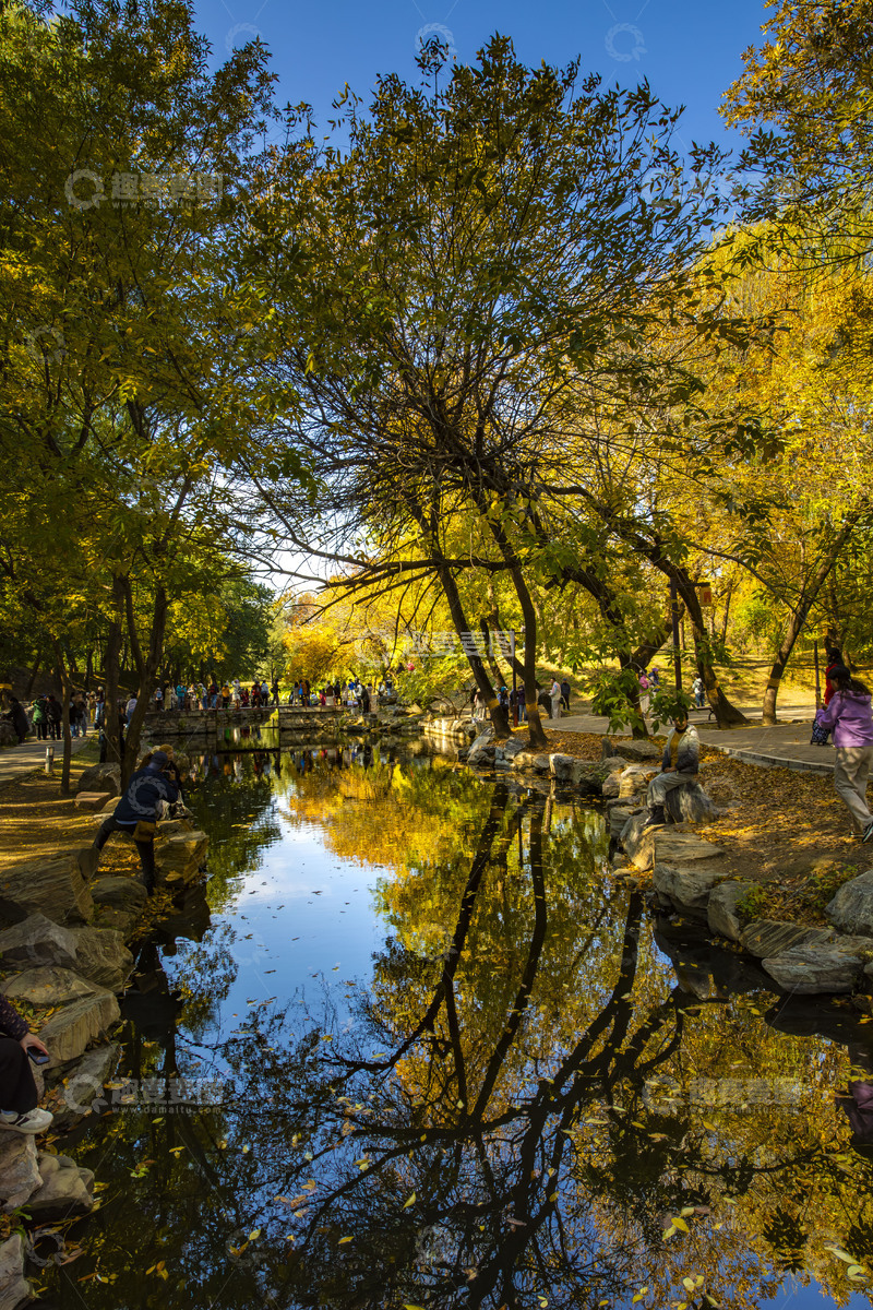 高清大图下载【趣麦麦图】秋天的童话森林