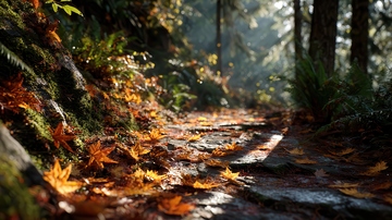 山涧  幽邃  蒲残  