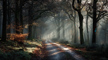 山涧  幽邃  凋碧  