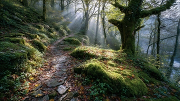 山涧  幽邃  明灭  