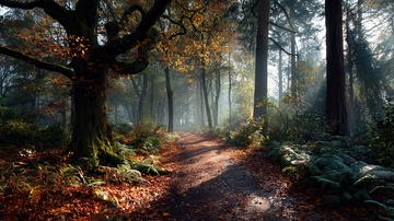 山涧  幽邃  青苍  