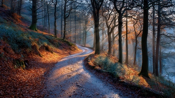 山涧  逸趣  沁爽   