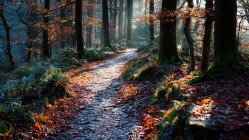 山涧  逸趣   空灵  