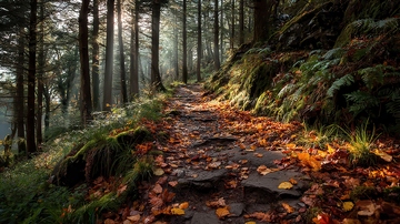 山涧  逸趣   浸寒  