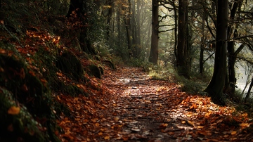 山涧  幽邃  透亮  