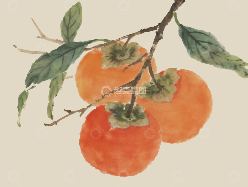 源文件下载【趣麦麦图】水彩风格柿子5