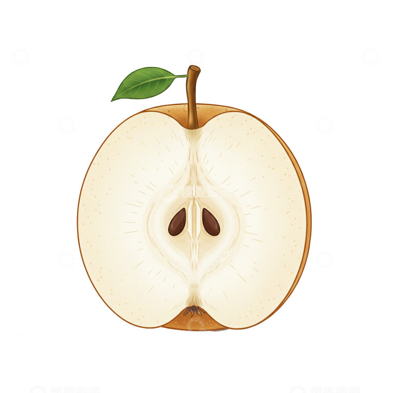 高清大图下载【趣麦麦图】插画卡通梨子2