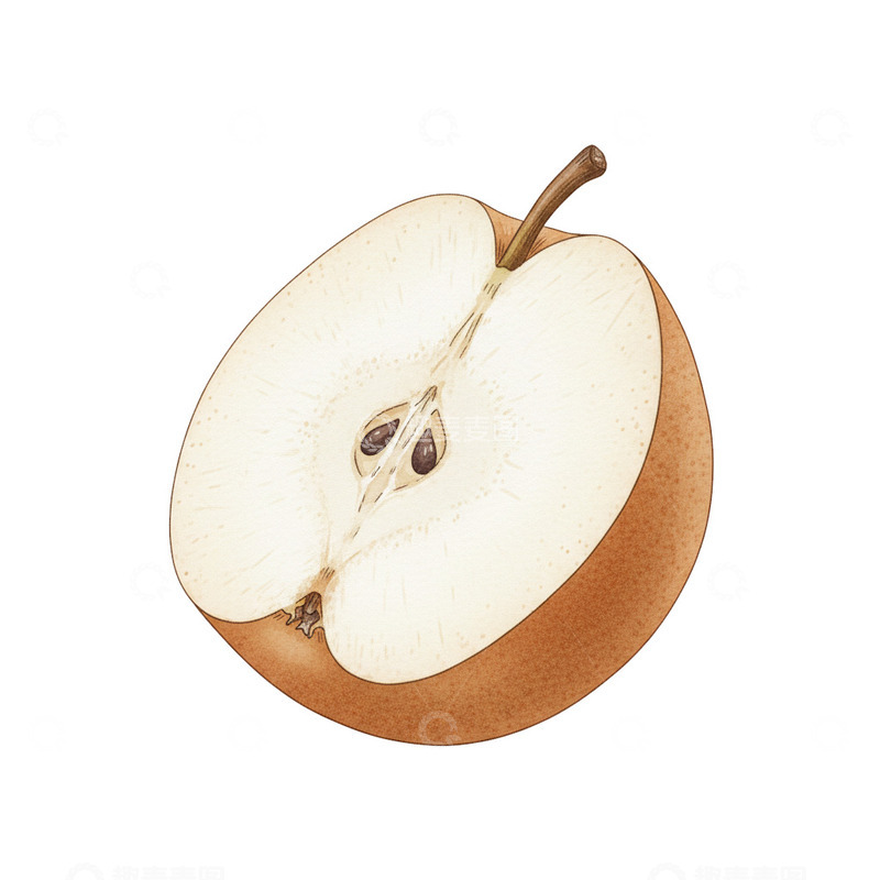 高清大图下载【趣麦麦图】插画卡通梨子1