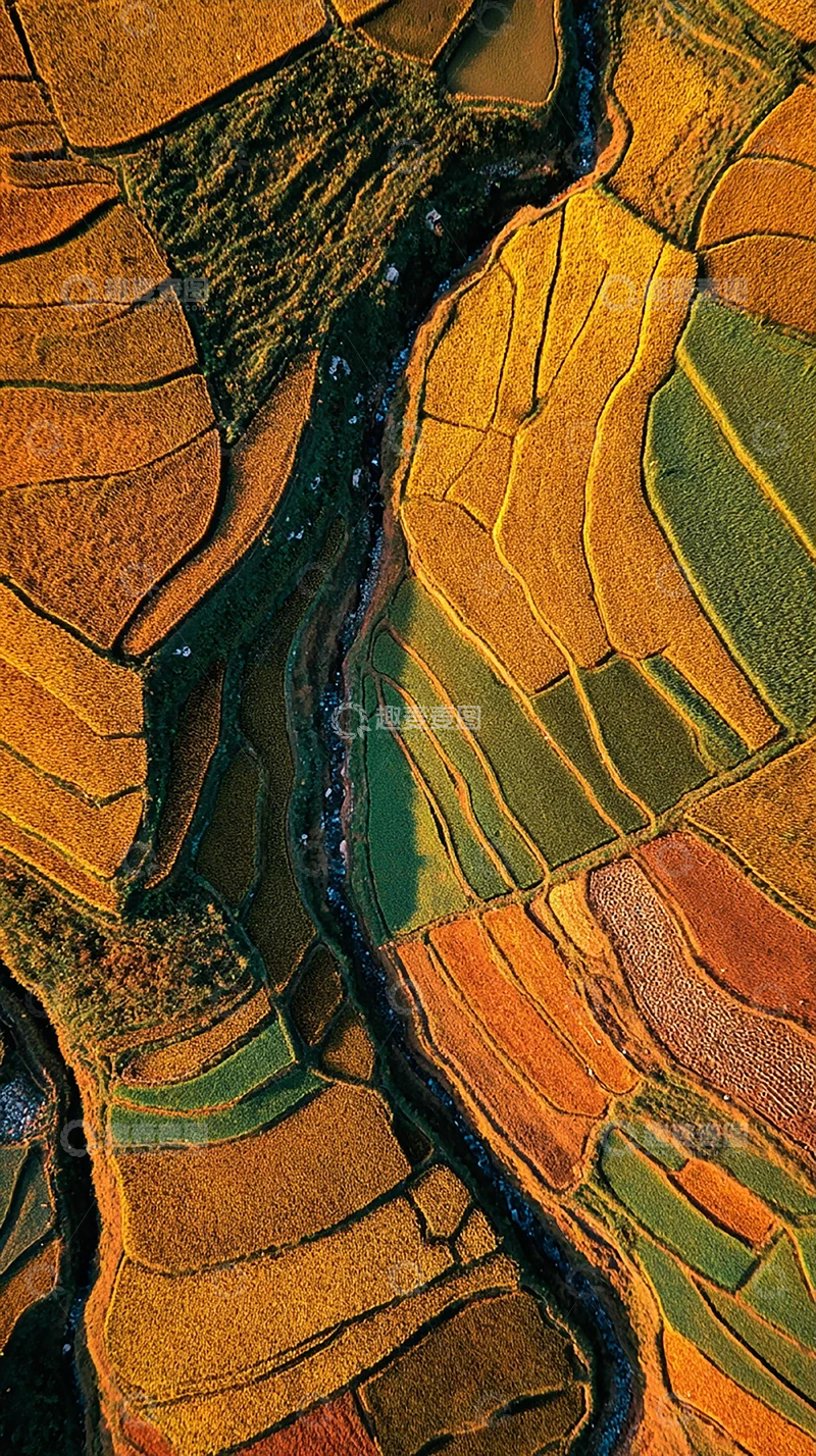 高清大图下载【趣麦麦图】秋日稻田的航拍美景