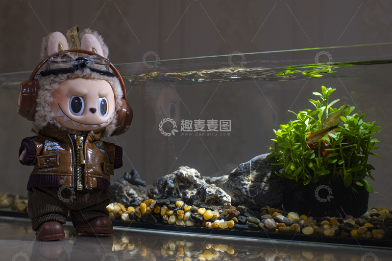高清大图下载【趣麦麦图】拉布布与鱼缸