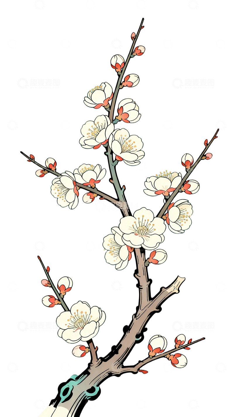 工笔画盛开腊梅4