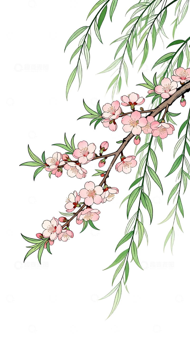 高清大图下载【趣麦麦图】工笔画桃枝柳条免扣元素5