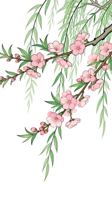工笔画桃枝柳条免扣元素7