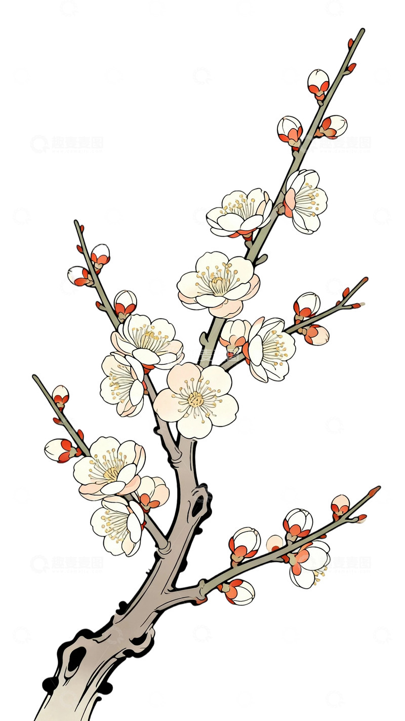 工笔画盛开腊梅2