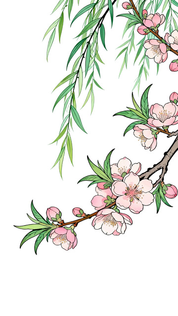 工笔画桃枝柳条免扣元素6