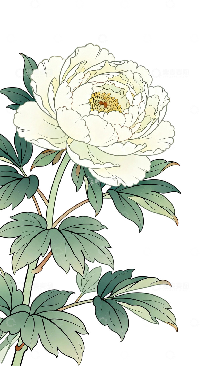 高清大图下载【趣麦麦图】工笔画牡丹图9