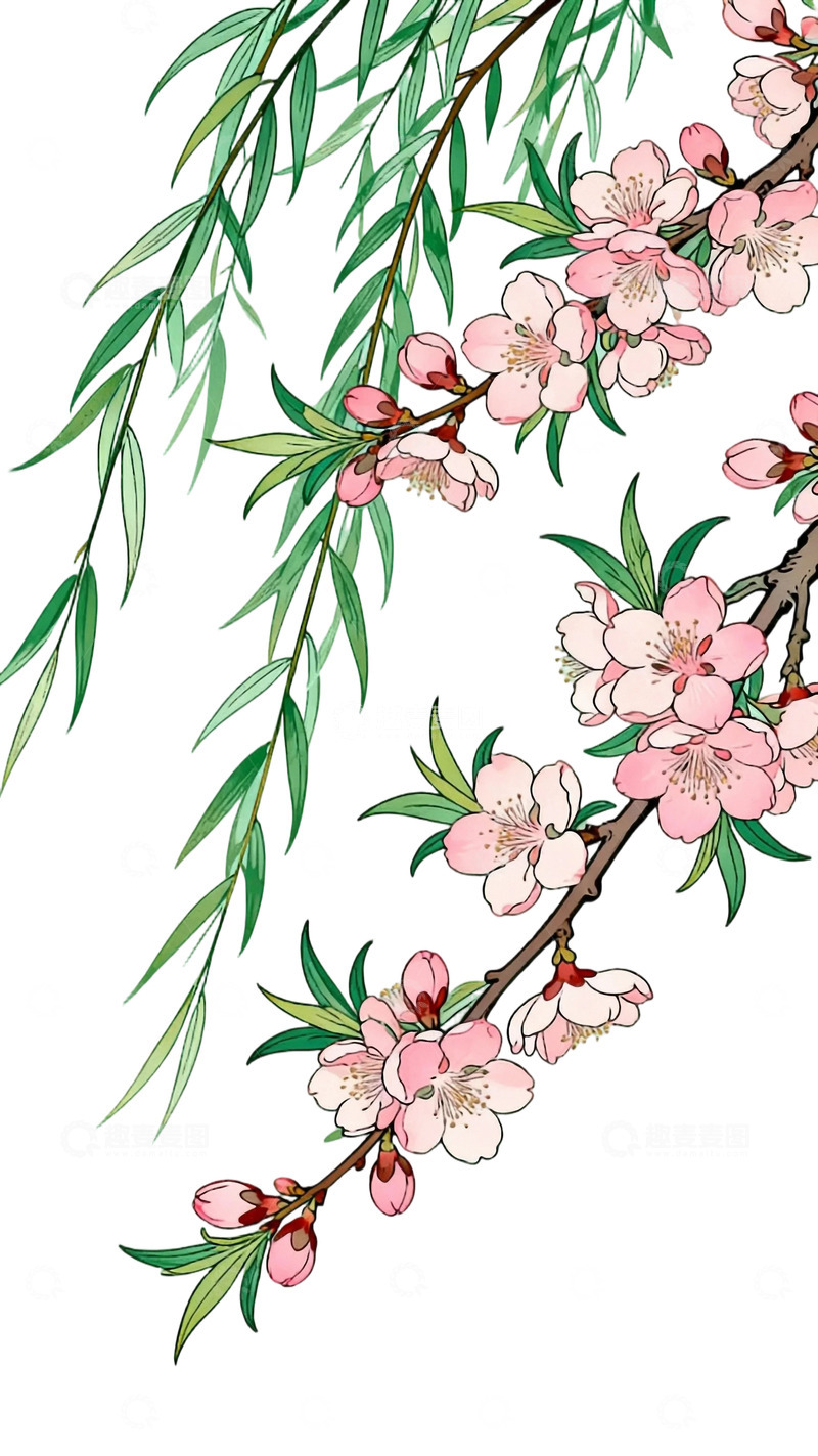 高清大图下载【趣麦麦图】工笔画桃枝柳条免扣元素3