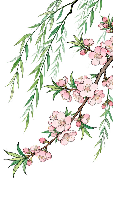 工笔画桃枝柳条免扣元素2