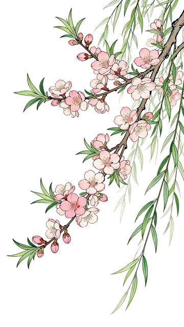 工笔画桃枝柳条免扣元素4