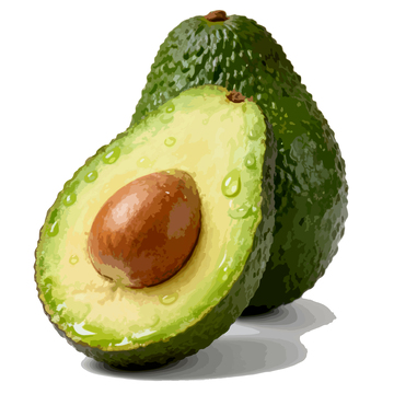 手绘牛油果插画素材