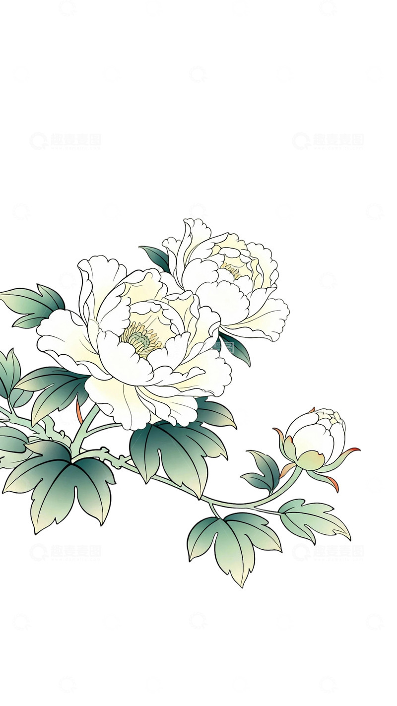 高清大图下载【趣麦麦图】工笔画牡丹图3