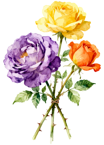 水彩花卉插画玫瑰素材