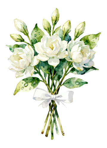水彩茉莉花装饰素材