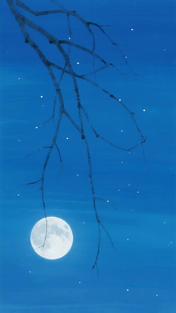 月夜清寂：蓝空枝影与满月的禅意画