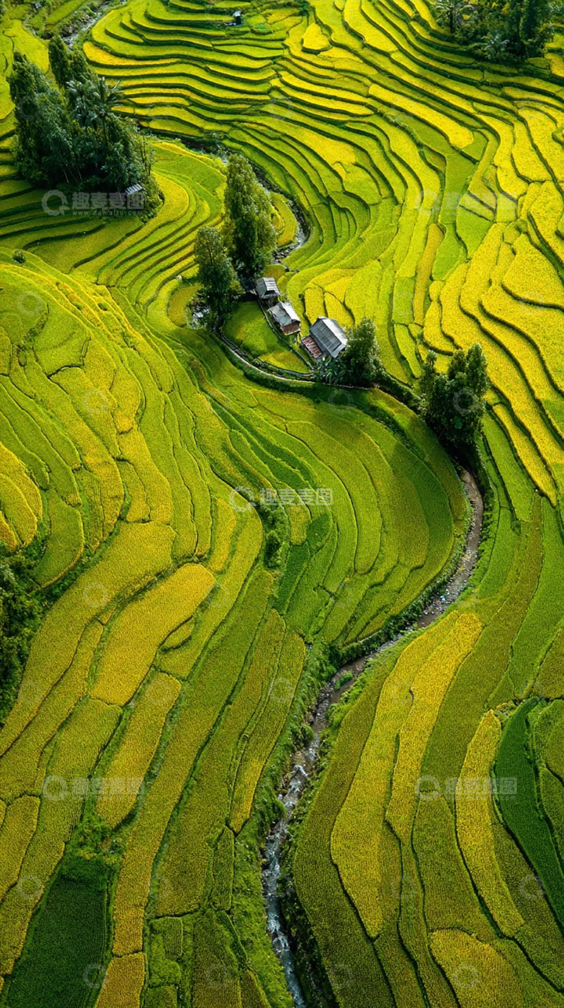 高清大图下载【趣麦麦图】绿色海洋的奇迹