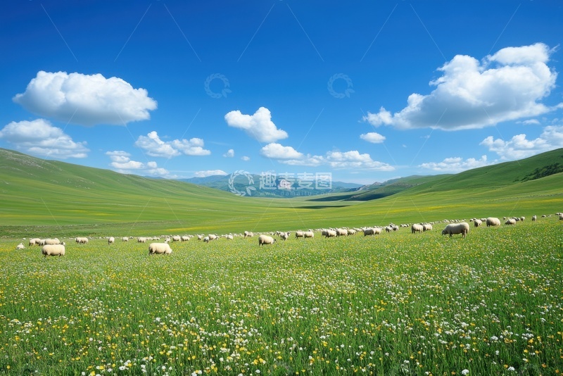 高清大图下载【趣麦麦图】草原草坪自然美景
