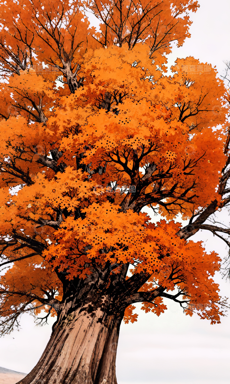 高清大图下载【趣麦麦图】秋意浓浓枫树美景