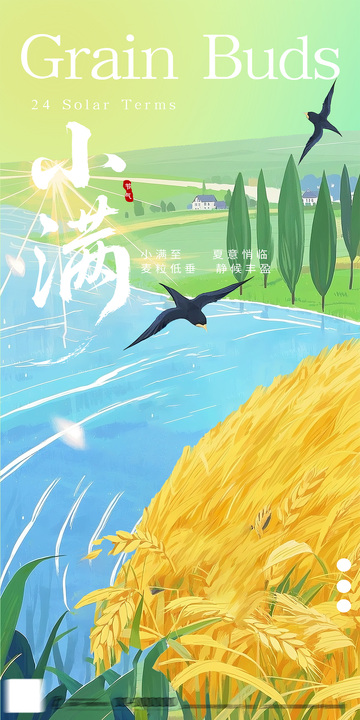 麦穗风景小满节气插画